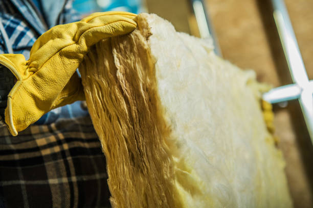 Best Insulation Replacement Services  in Aurora, MN
